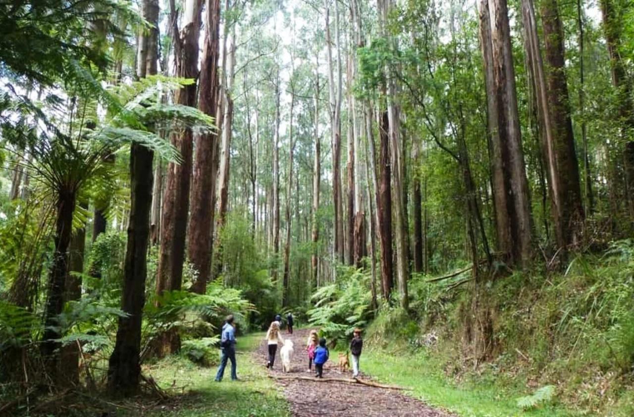 Ferny Hill Retreat, Emerald Victoria Esterno foto